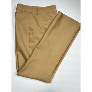 Express Editor Khaki Pants